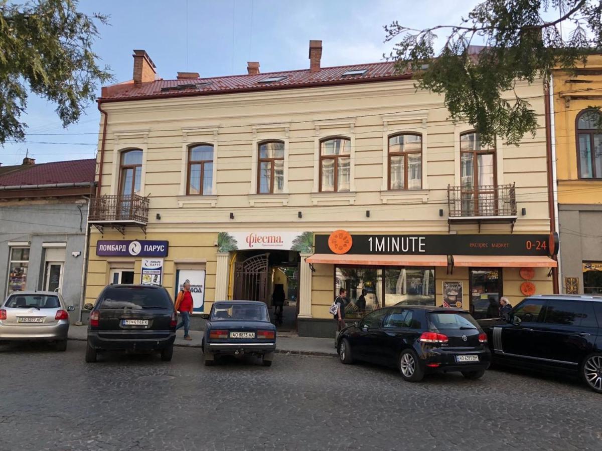Wonderful Flat On Center Uzhhorod